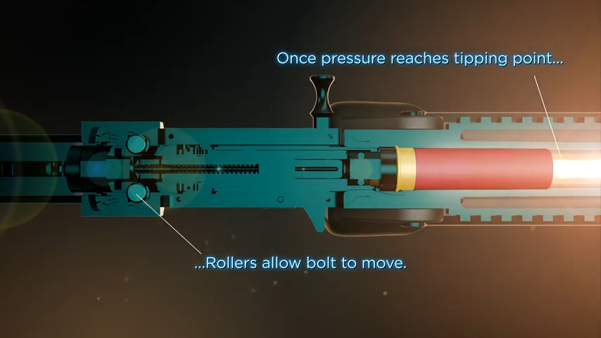 Roller Delayed Blowback System